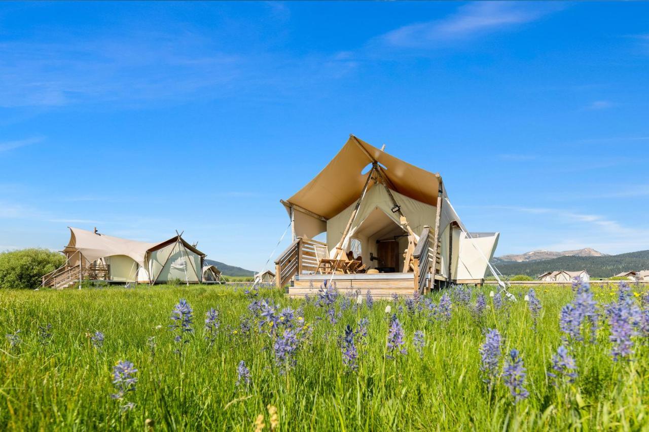 Under Canvas เวสต์เยลโลว์สโตน ภายนอก รูปภาพ